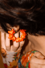 Arrugamientaro (PAIR)